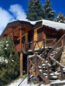 9a14a5be-cf71-4dd4-bae7-f26a7b073d2e